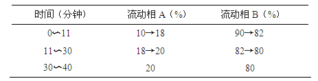 菊花-酷瓶网