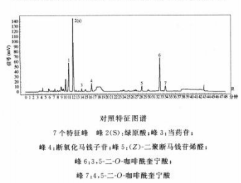 金银花-酷瓶网